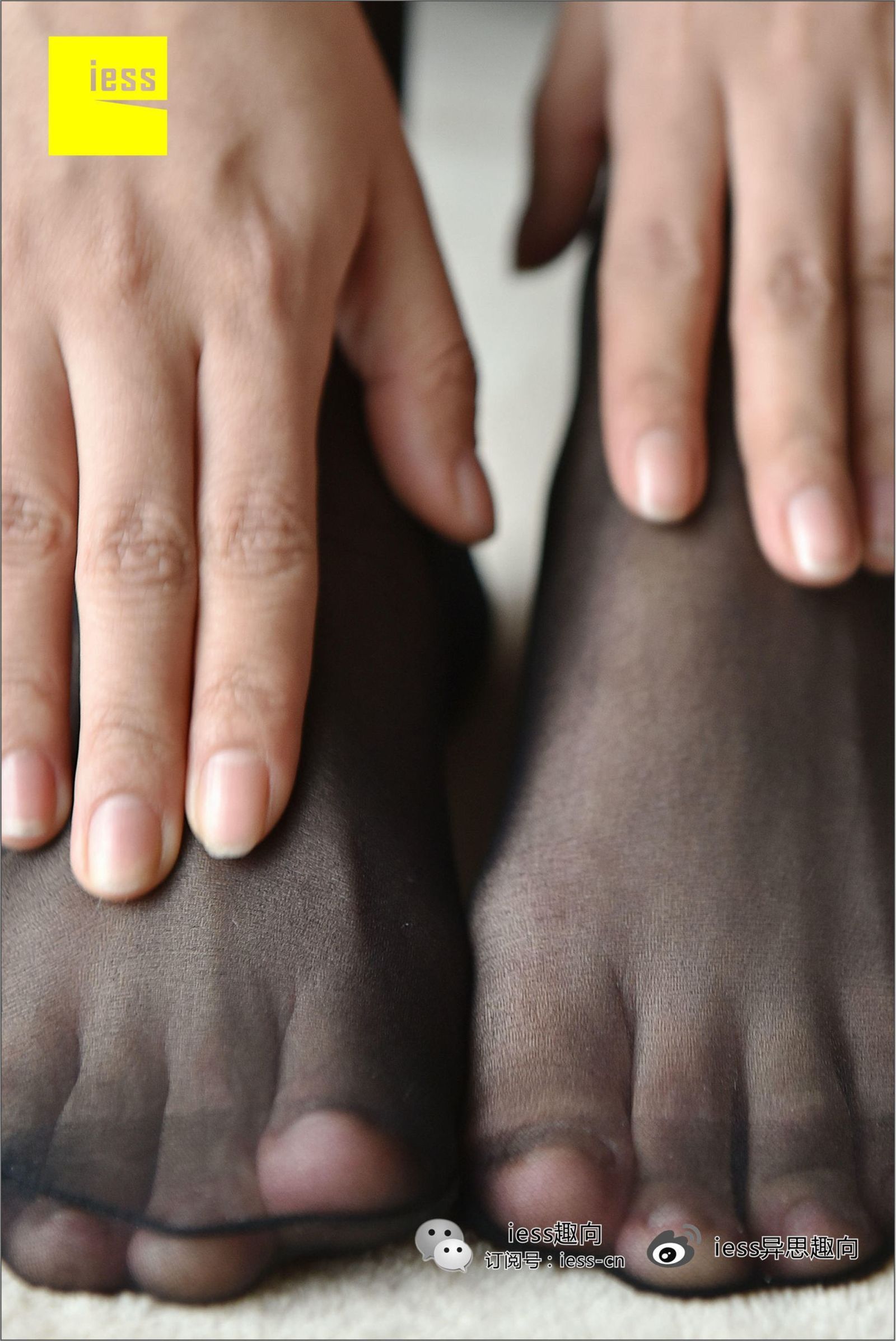 [IESS]异思趣向 琪琪 ES6C 黑色